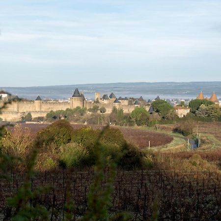 Villa Des Cathares Carcassonne Exterior foto