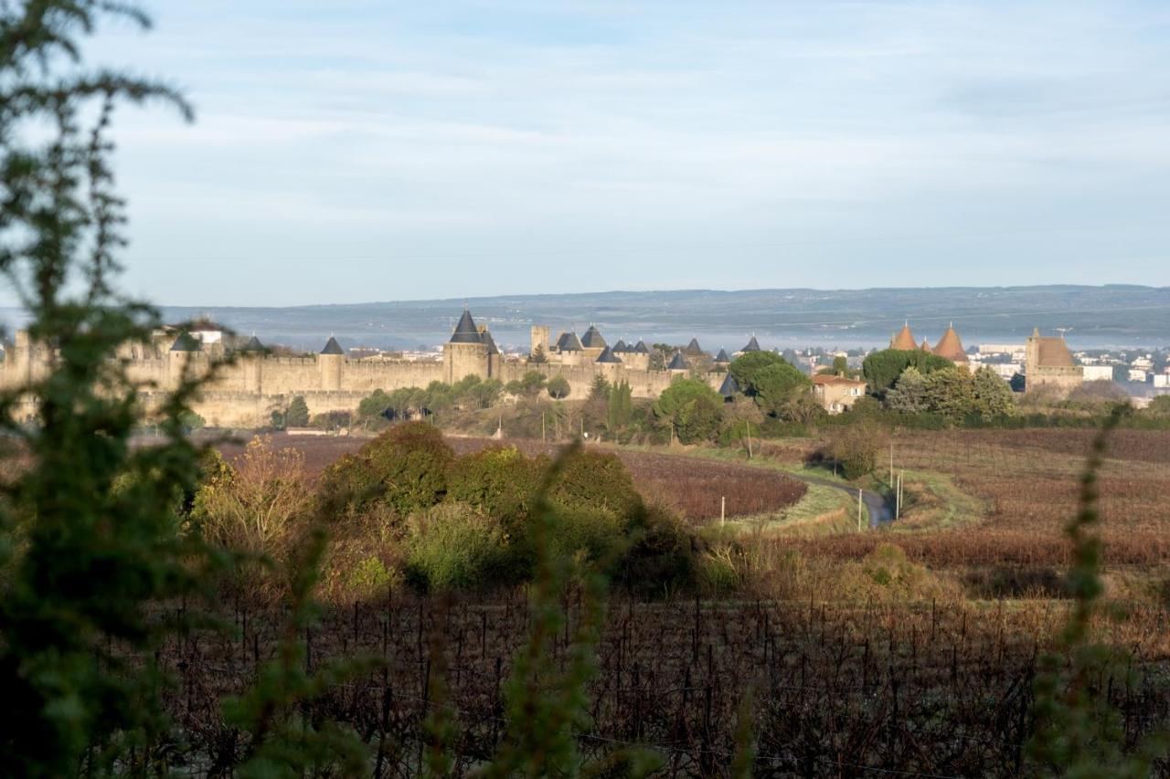 Villa Des Cathares Carcassonne Exterior foto
