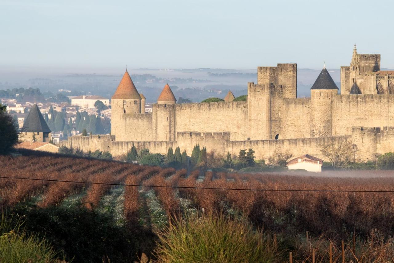 Villa Des Cathares Carcassonne Exterior foto
